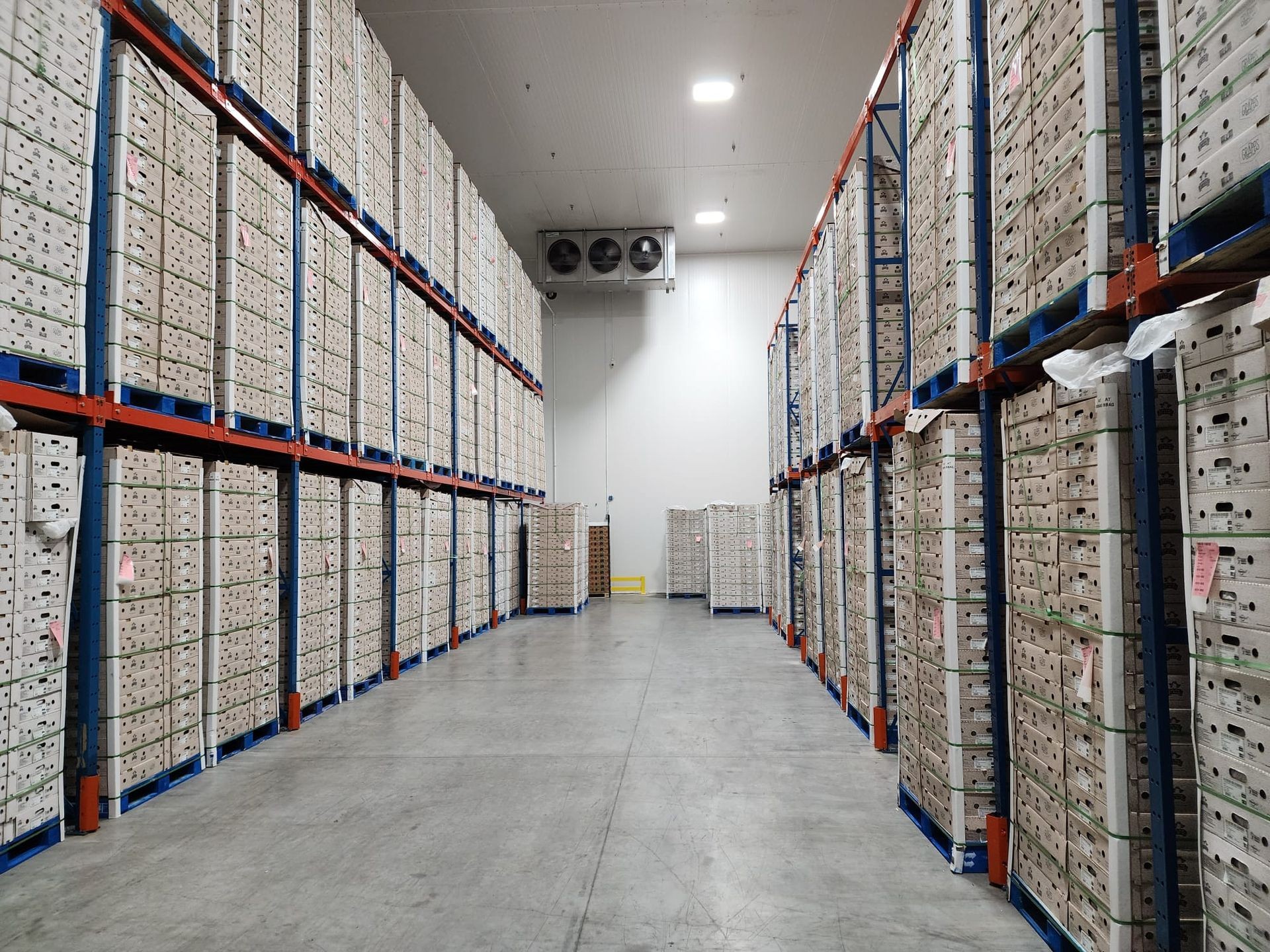 Temperature-Controlled Warehousing